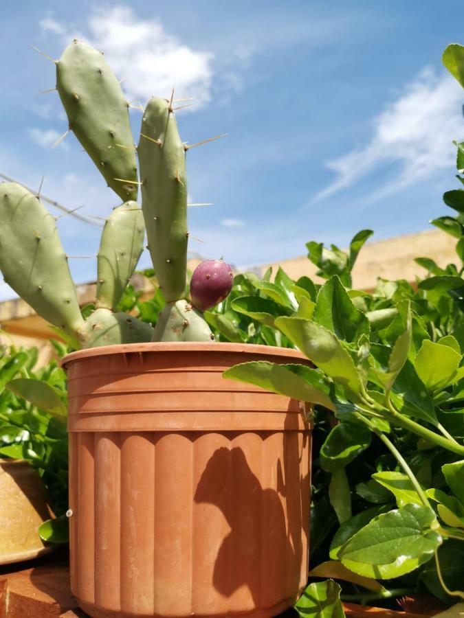 Lido di Noto B&B Scogli Bianchi מראה חיצוני תמונה